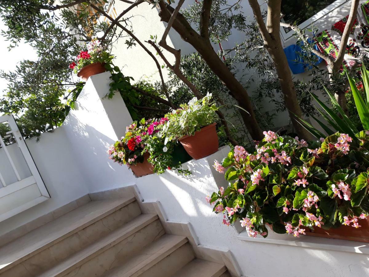 B&B Buzolic Hvar Town Exterior foto